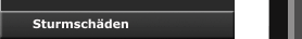Sturmschäden