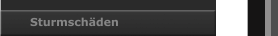 Sturmschäden
